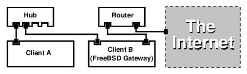 Network Layout